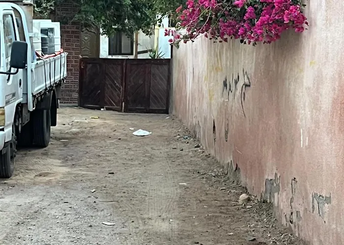 Sina Dahab